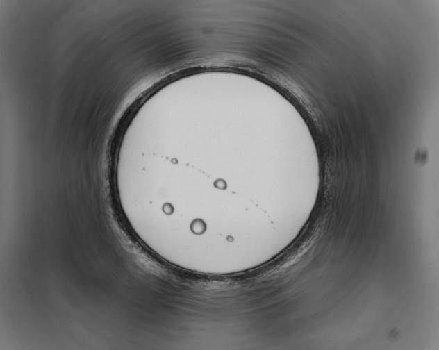 X0000101191122200807250956