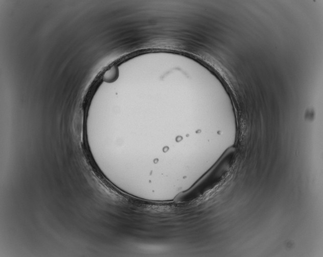 X0000101191123200807250956