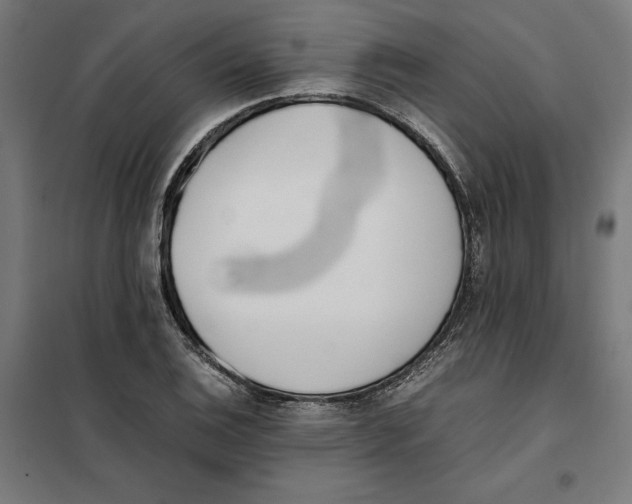 X0000101191124200807250956