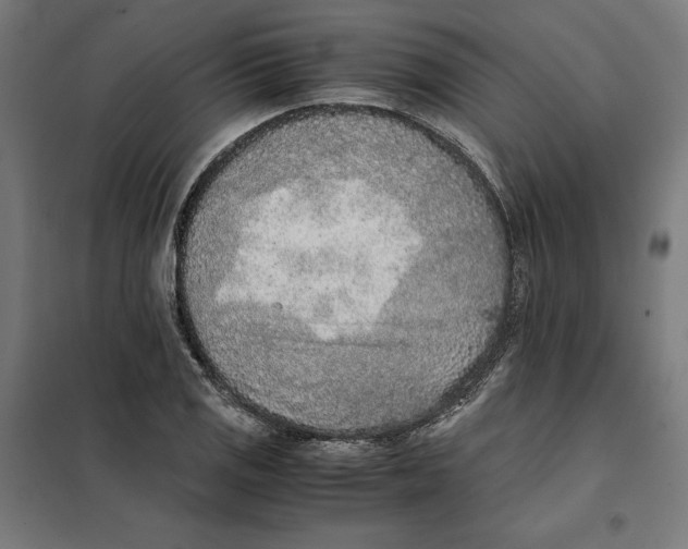 X0000101191125200807250956