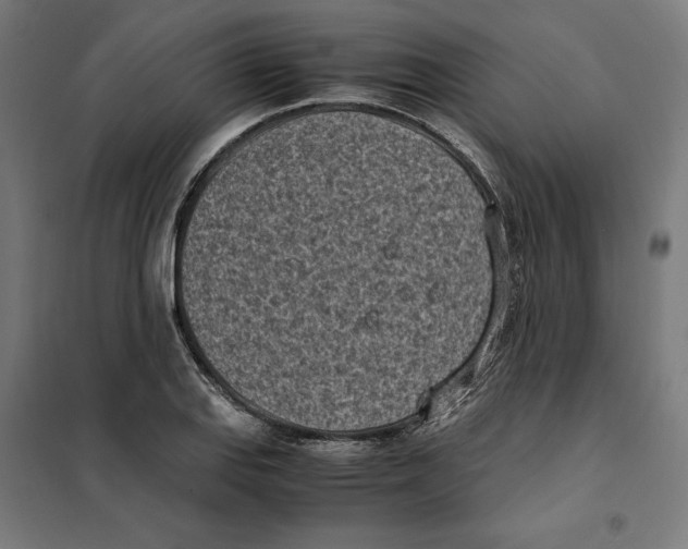 X0000101191127200807250956