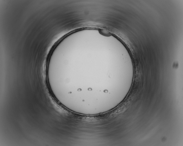 X0000101191128200807250956