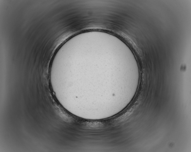 X0000101191129200807250956