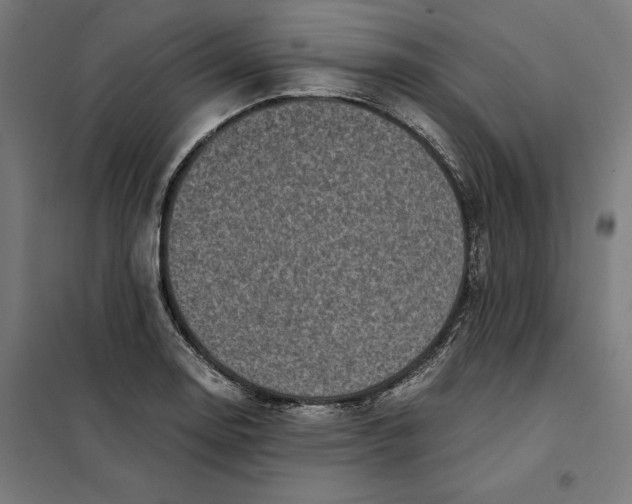 X0000101191130200807250956