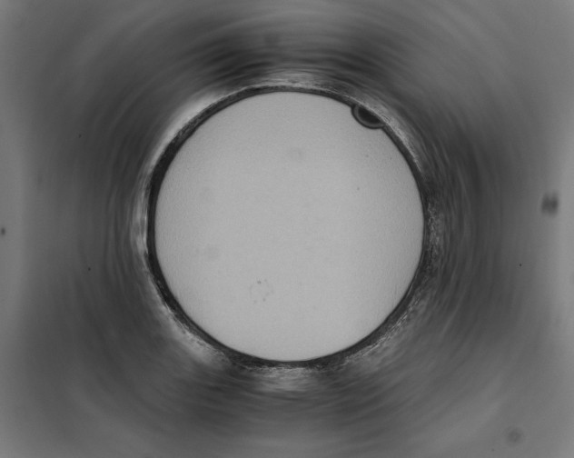 X0000101191131200807250956
