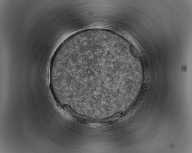 X0000101191132200807250956