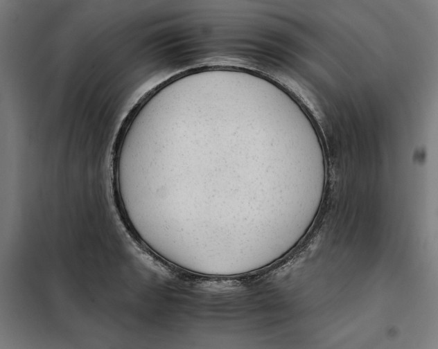 X0000101191133200807250956
