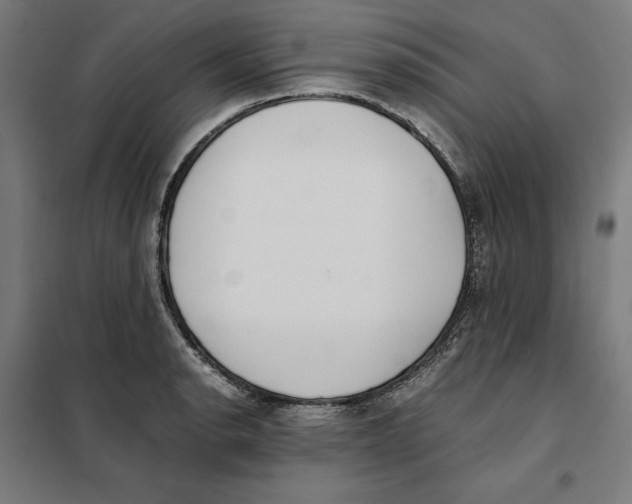 X0000101191134200807250956