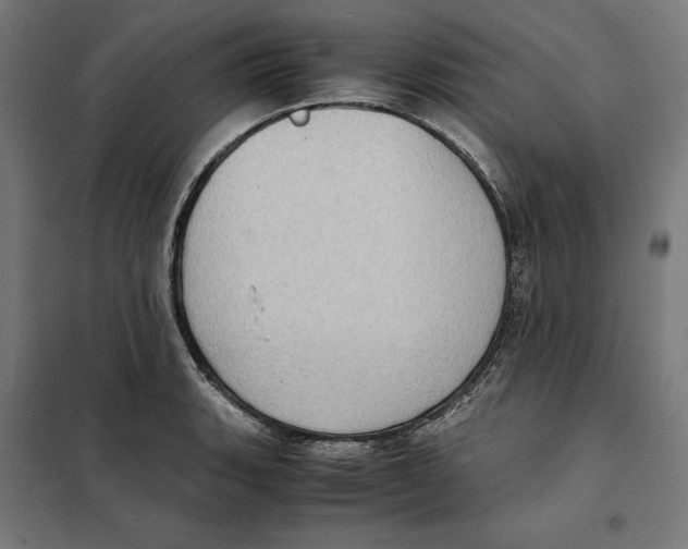 X0000101191135200807250956