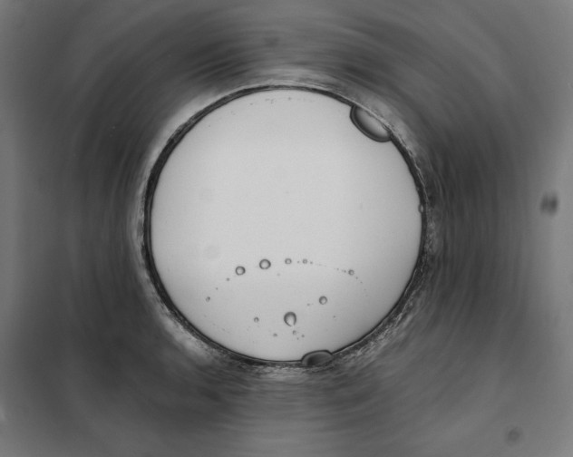 X0000101191136200807250956