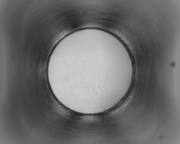 X0000101191137200807250956