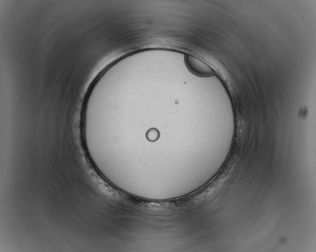 X0000101191138200807250956