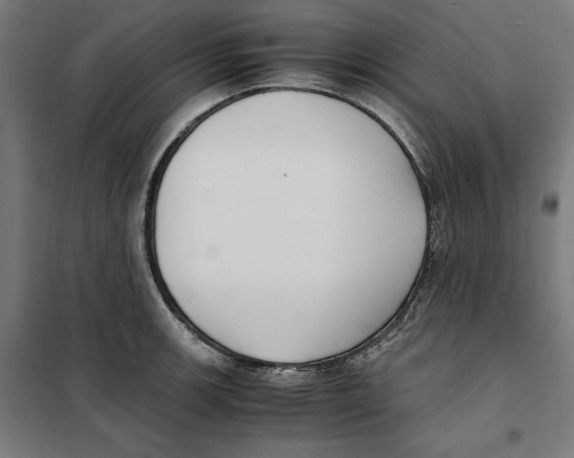 X0000101191139200807250957