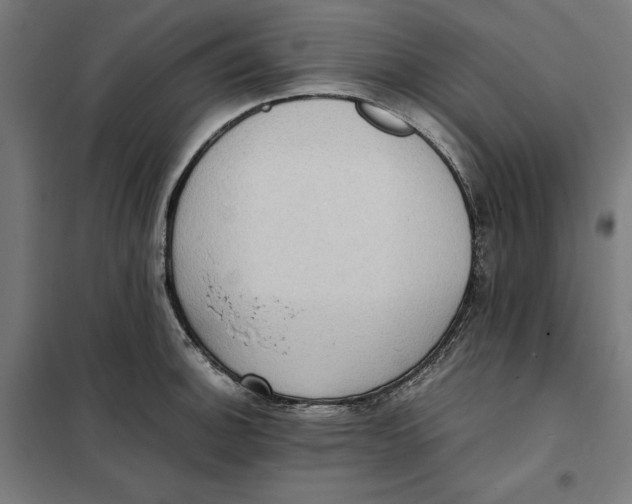 X0000101191140200807250957