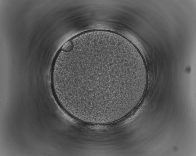 X0000101191141200807250957