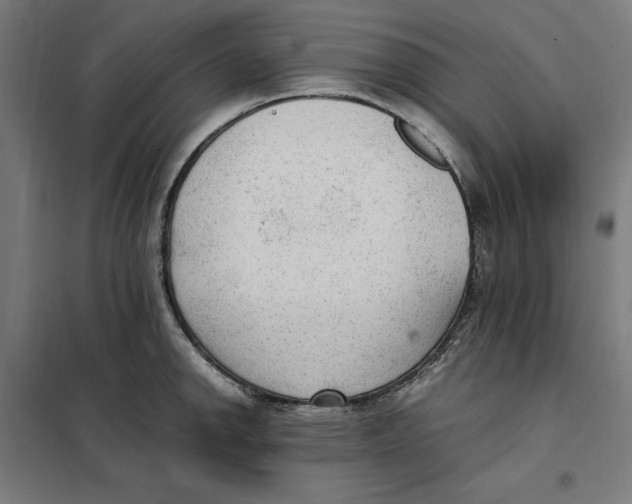 X0000101191142200807250957