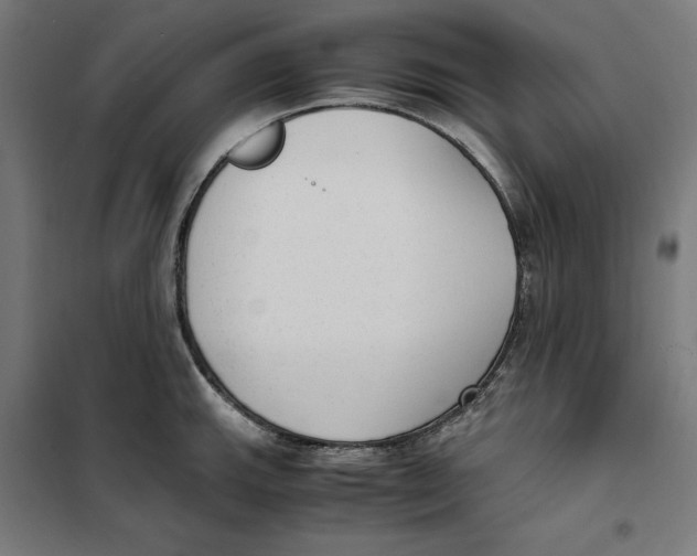 X0000101191143200807250957