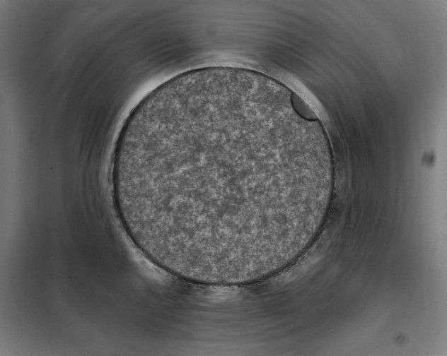 X0000101191144200807250957