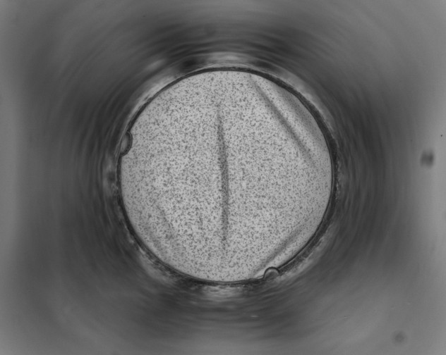 X0000101191145200807250957