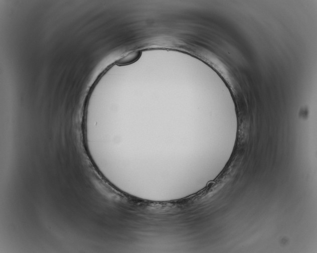 X0000101191146200807250957