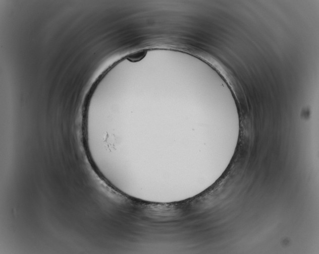 X0000101191147200807250957
