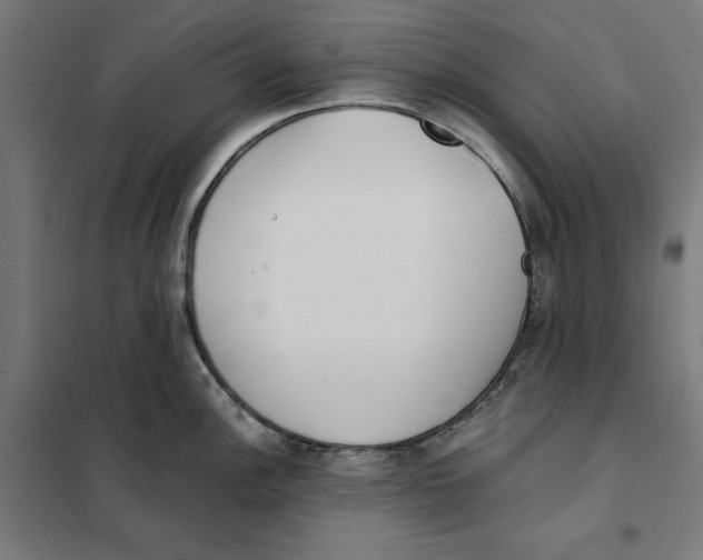 X0000101191148200807250957