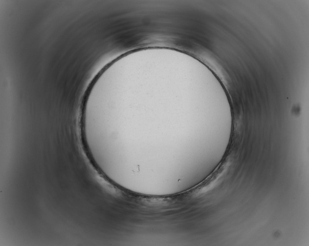 X0000101191149200807250957