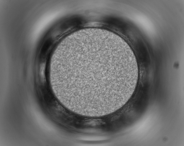 X0000101191150200807250957