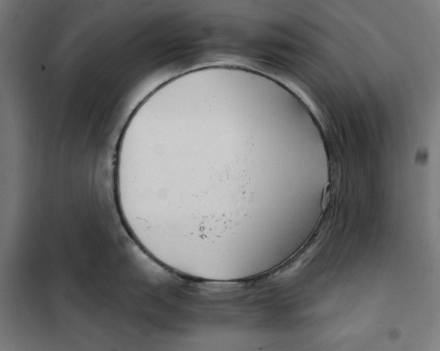 X0000101191151200807250957