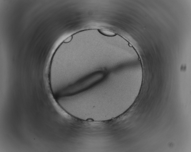 X0000101191152200807250957