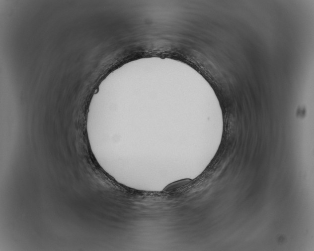 X0000101191153200807250956