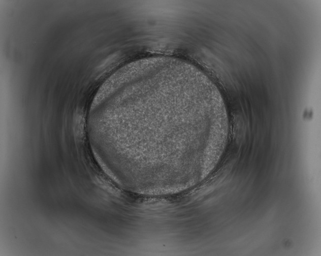 X0000101191154200807250956