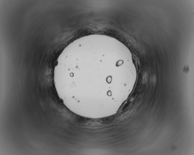 X0000101191156200807250956