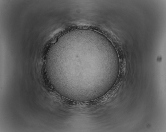 X0000101191157200807250956