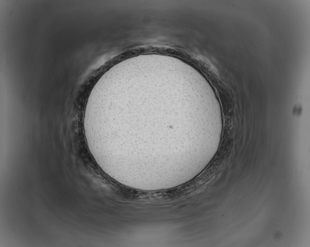 X0000101191159200807250956