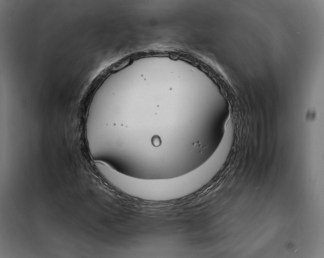 X0000101191160200807250956