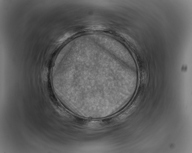 X0000101191161200807250956