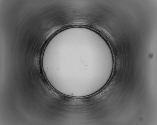X0000101191162200807250956