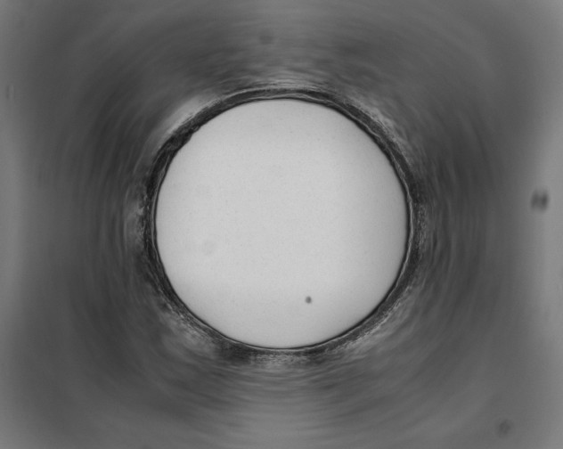X0000101191163200807250956