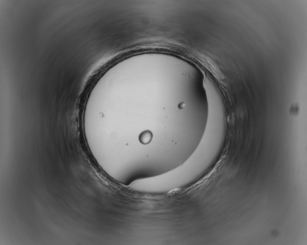 X0000101191164200807250956