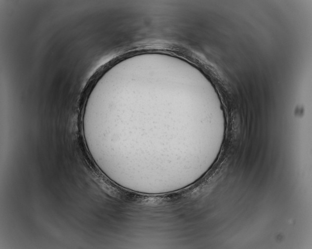 X0000101191166200807250956