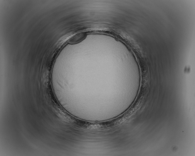 X0000101191169200807250956