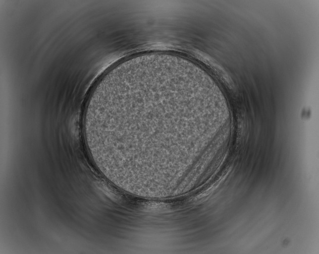 X0000101191170200807250956