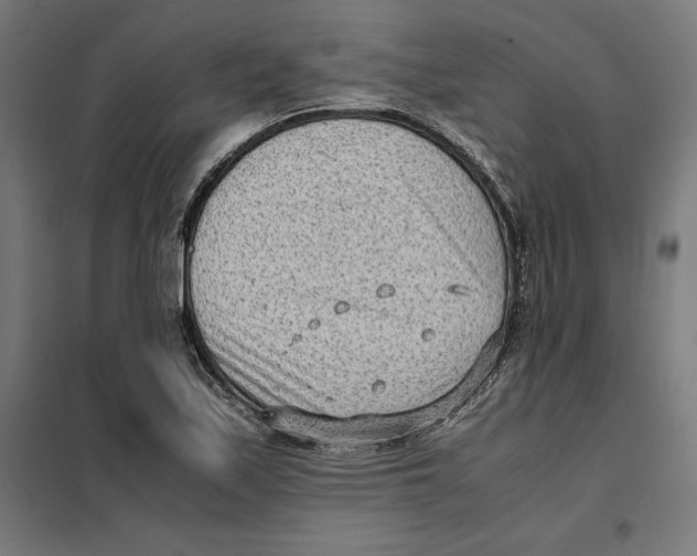 X0000101191171200807250956