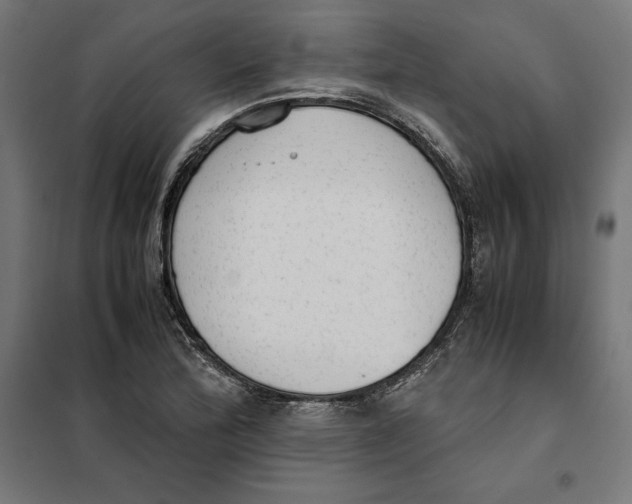 X0000101191172200807250956