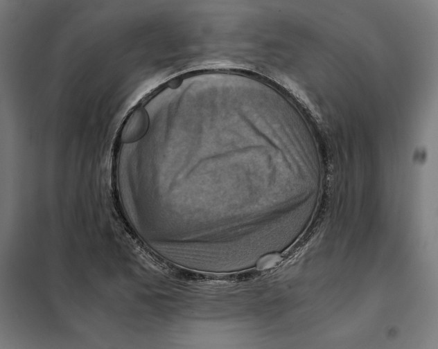 X0000101191173200807250956