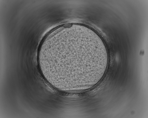 X0000101191174200807250956