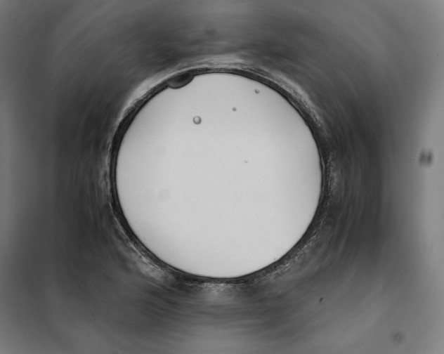 X0000101191176200807250956