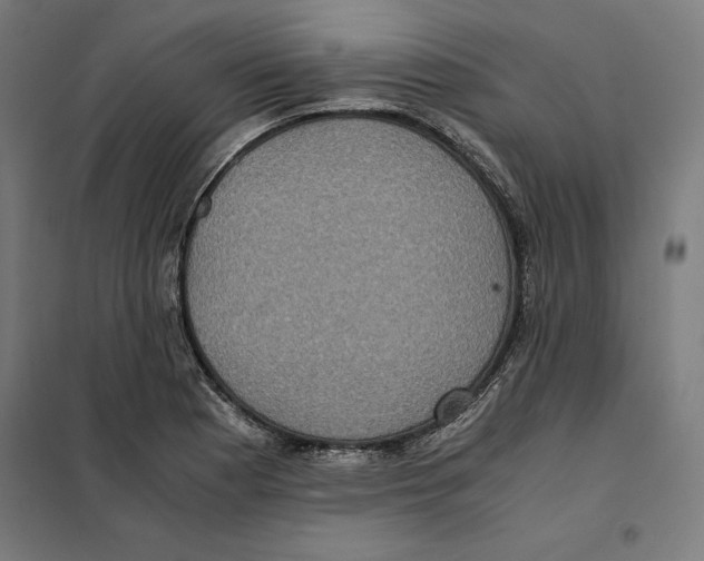 X0000101191177200807250956