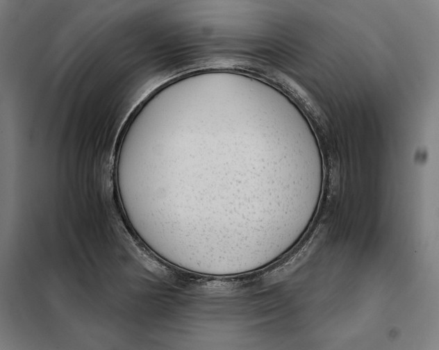 X0000101191178200807250956